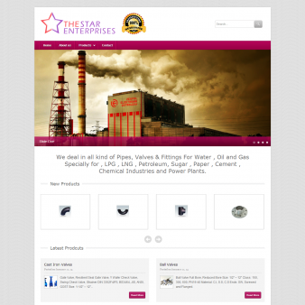 Star-Enterprises-338x500 Star-Enterprises-338x500